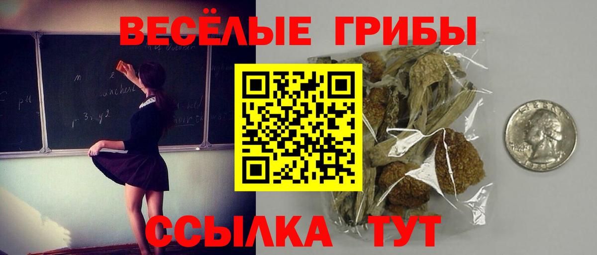 Псилоцибиновые грибы GOLDEN TEACHER  Вход с VPN  Октябрьский 